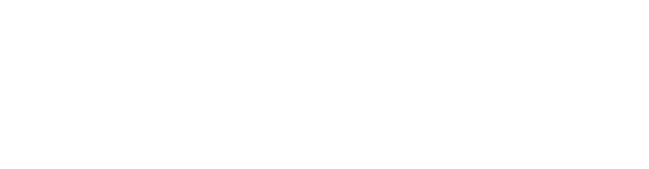 ABINADER Consultants and Services LLC